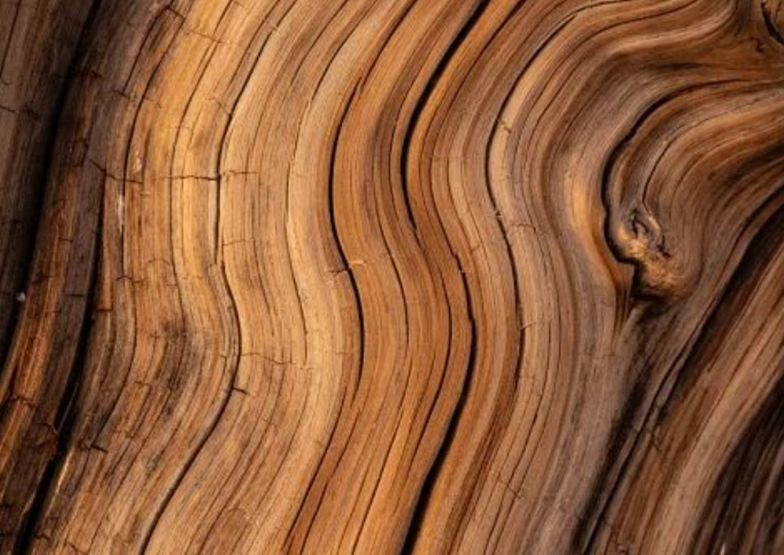 Balinese wood carving: A tradition of artistry.