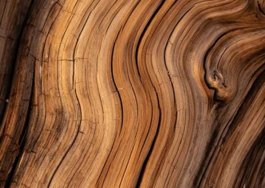 Balinese wood carving: A tradition of artistry.